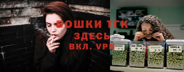 кокс Арсеньев