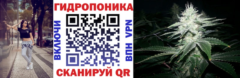 KRAKEN tor  Кувандык  Бошки марихуана Bruce Banner 